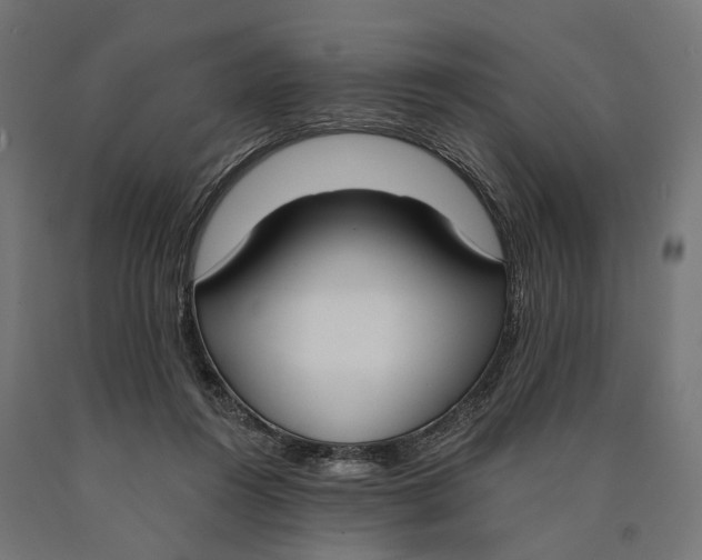 X0000090420360200708031111