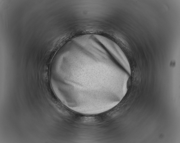 X0000090420361200708031111