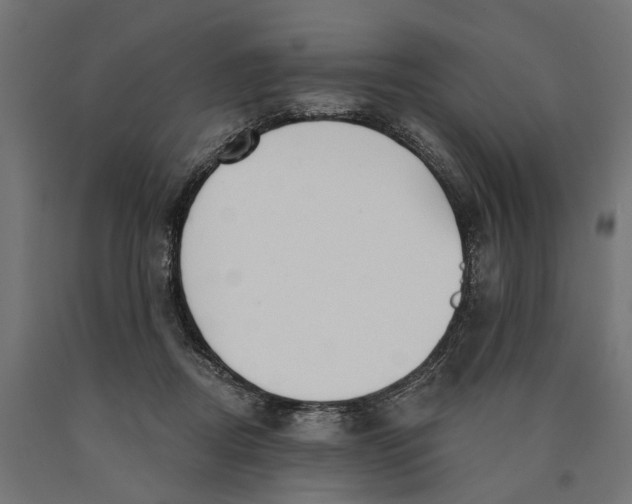 X0000090420362200708031111