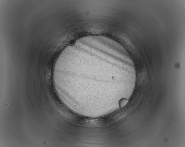 X0000090420365200708031112