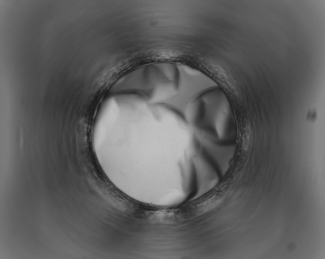 X0000090420366200708031112