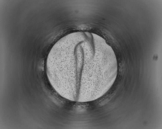 X0000090420368200708031112