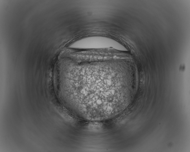 X0000090420369200708031112