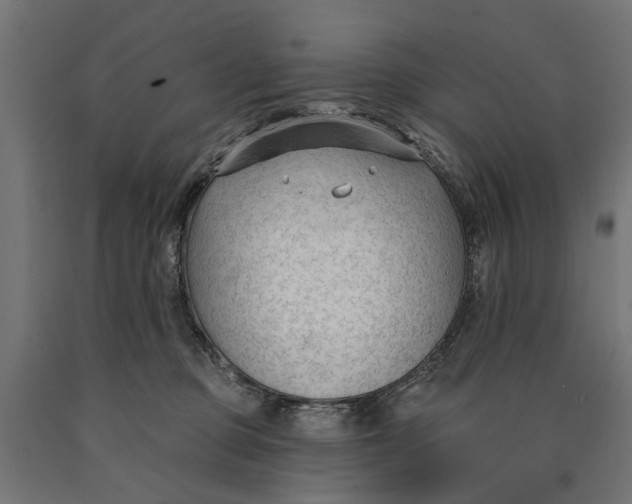 X0000090420373200708031112