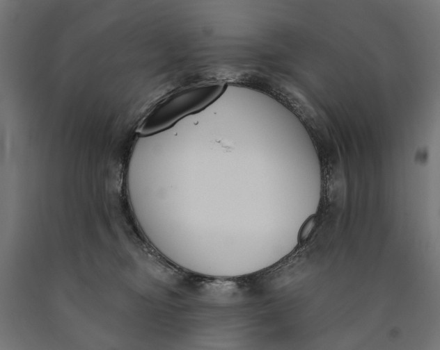 X0000090420374200708031112