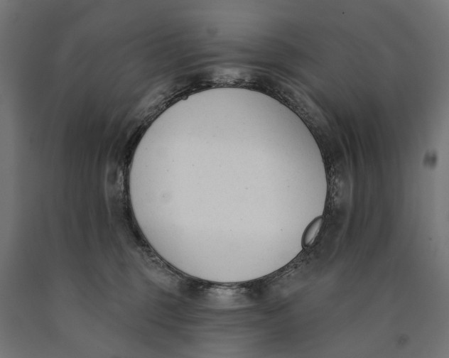 X0000090420375200708031112