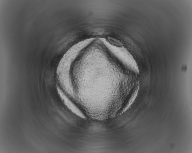 X0000090420376200708031112