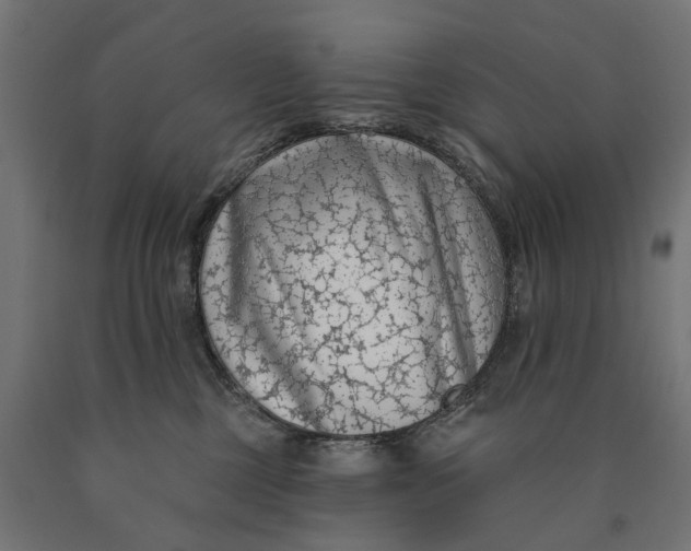 X0000090420377200708031112