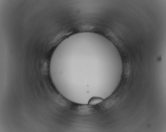 X0000090420378200708031112