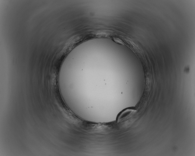 X0000090420379200708031112