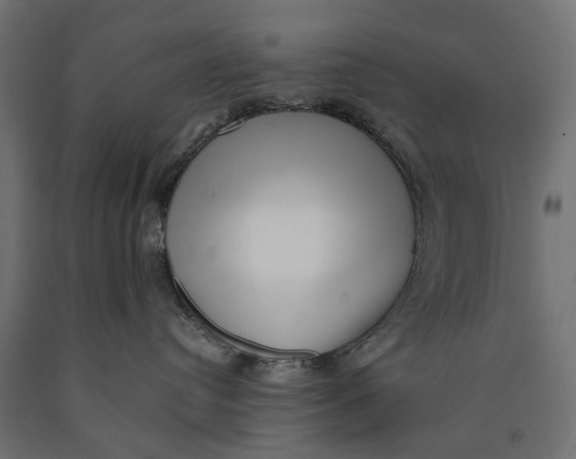 X0000090420384200708031112