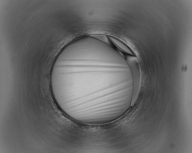 X0000090420385200708031111