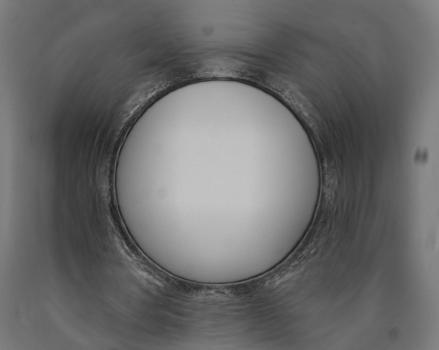 X0000090420386200708031111