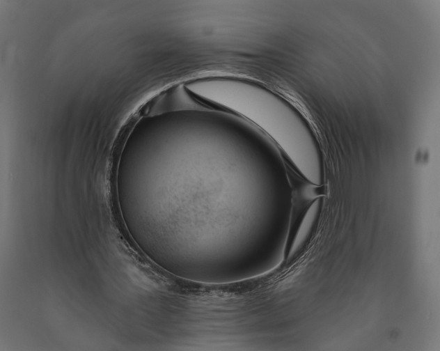 X0000090420387200708031111