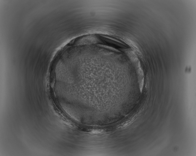 X0000090420388200708031111