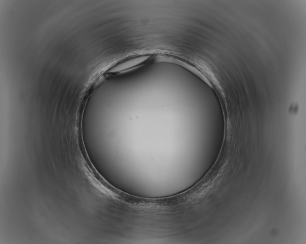 X0000090420389200708031111