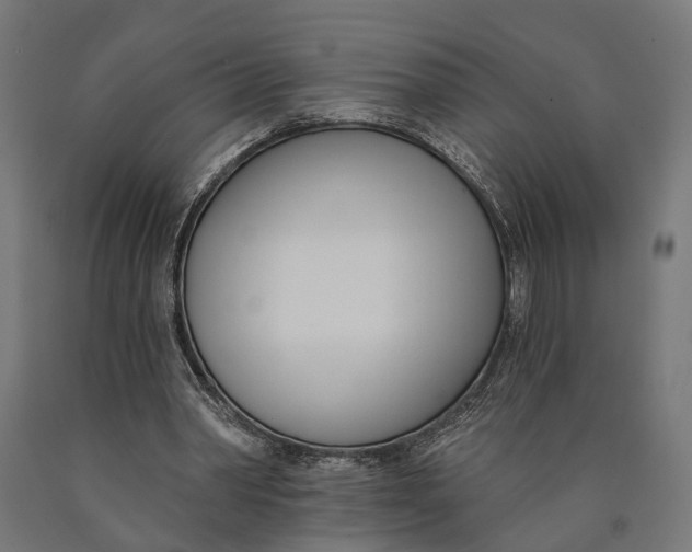 X0000090420390200708031111