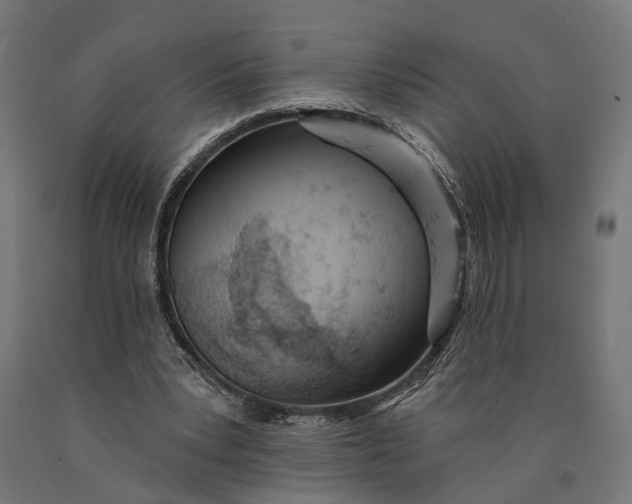 X0000090420391200708031111