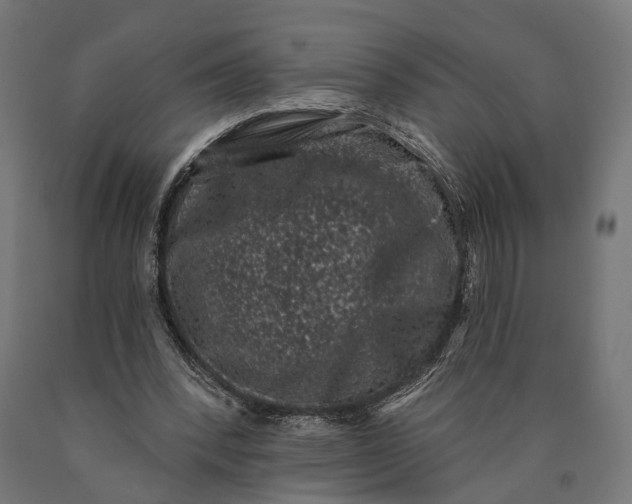 X0000090420392200708031111