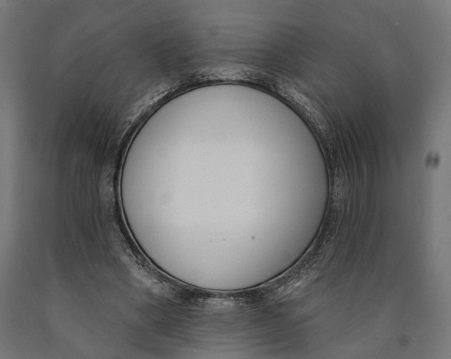 X0000090420394200708031111