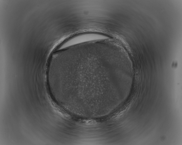 X0000090420395200708031111