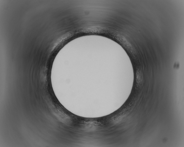 X0000090420396200708031111