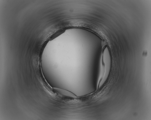 X0000090420397200708031111