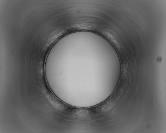 X0000090420398200708031111