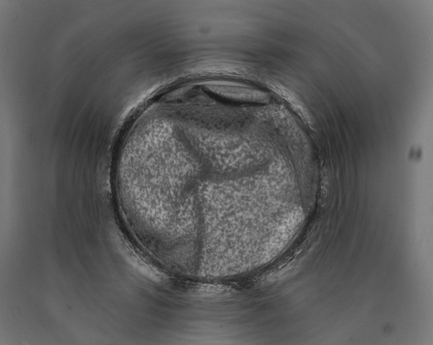 X0000090420399200708031111