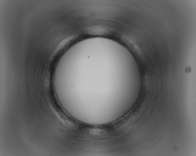 X0000090420400200708031111