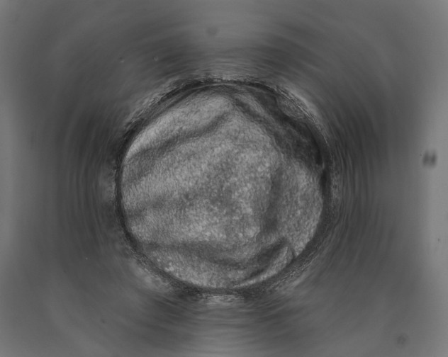 X0000090420401200708031111