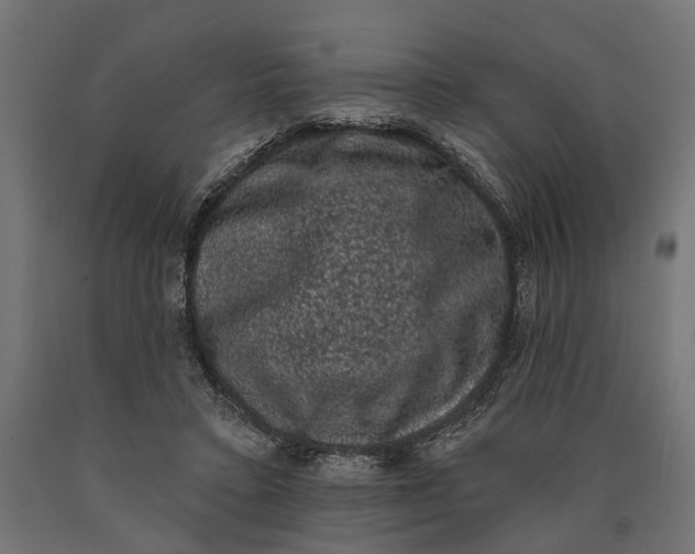 X0000090420403200708031111