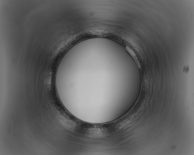 X0000090420404200708031111