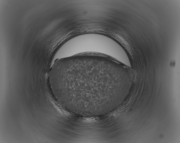 X0000090420405200708031111