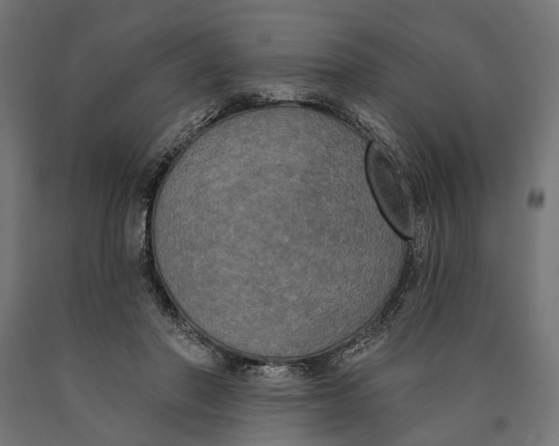 X0000090420406200708031111