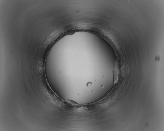 X0000090420407200708031111