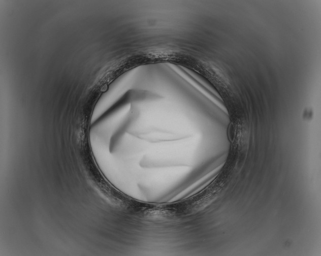 X0000090420408200708031111