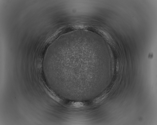 X0000090420409200708031111