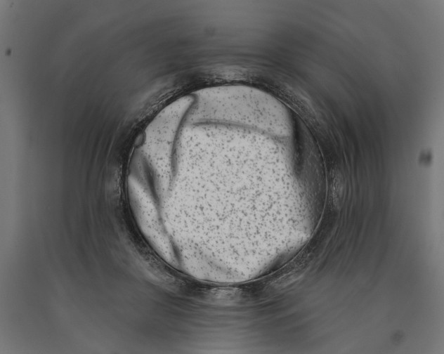 X0000090420410200708031111