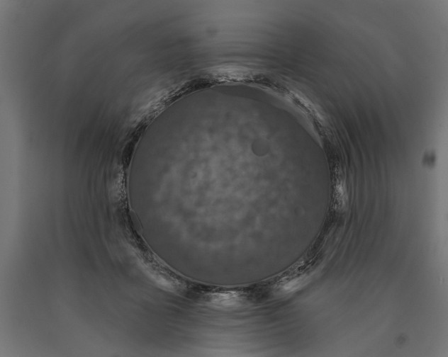 X0000090420411200708031111