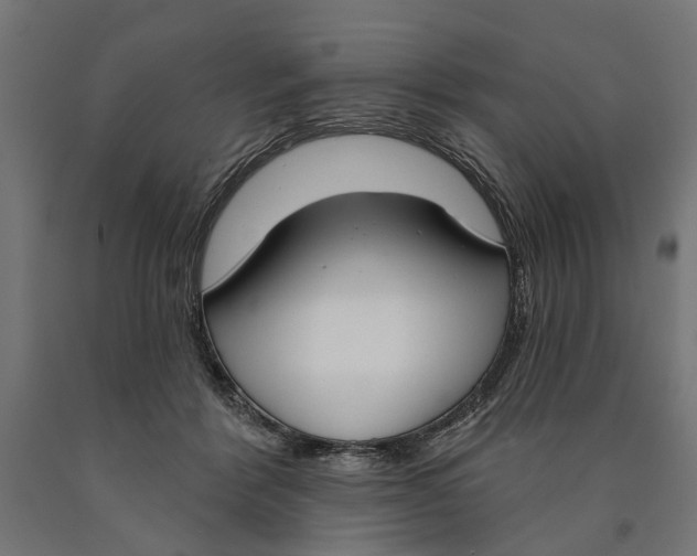 X0000090420412200708031111