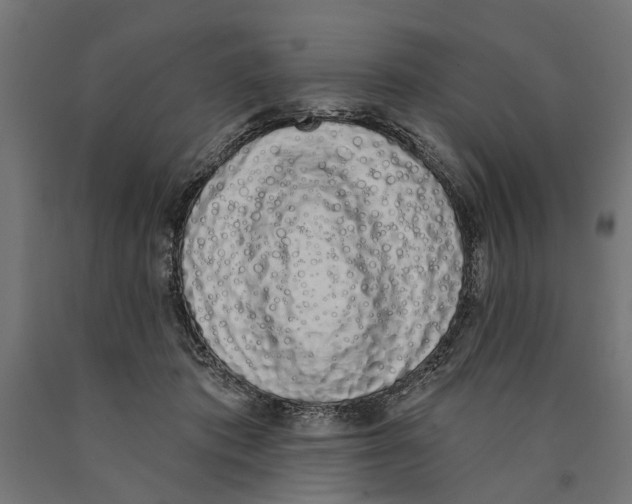 X0000090420413200708031111