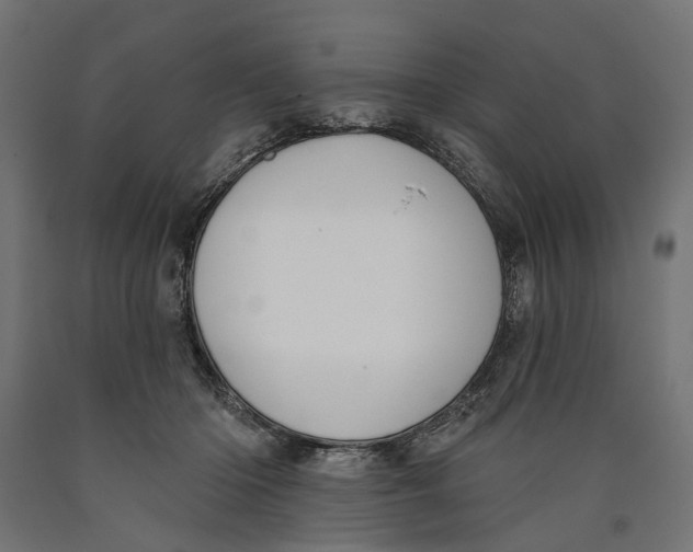 X0000090420414200708031111