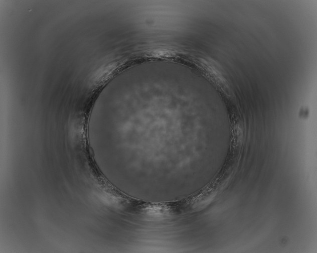 X0000090420415200708031111