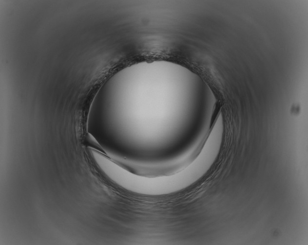 X0000090420416200708031111