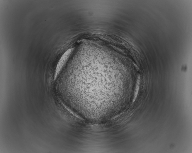 X0000090420417200708031110