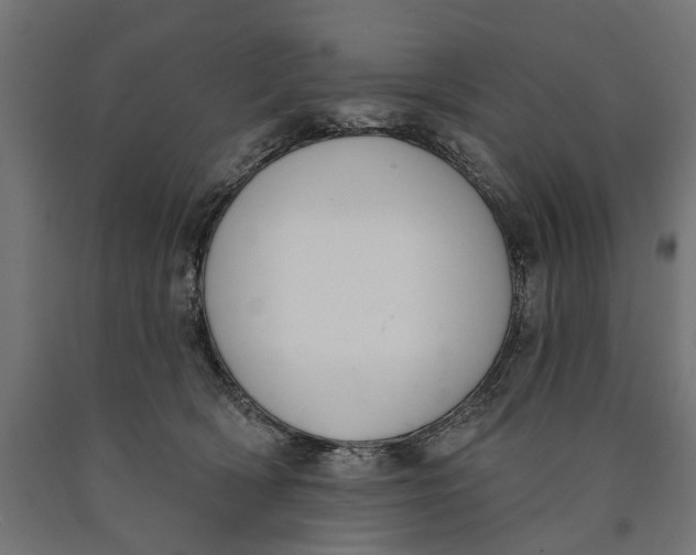 X0000090420418200708031110