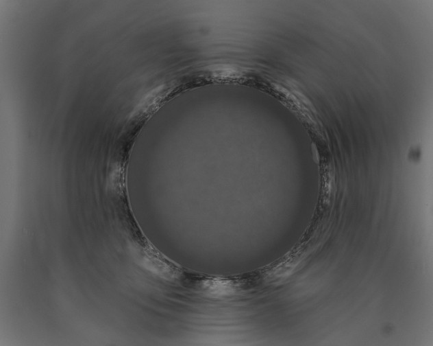 X0000090420419200708031110