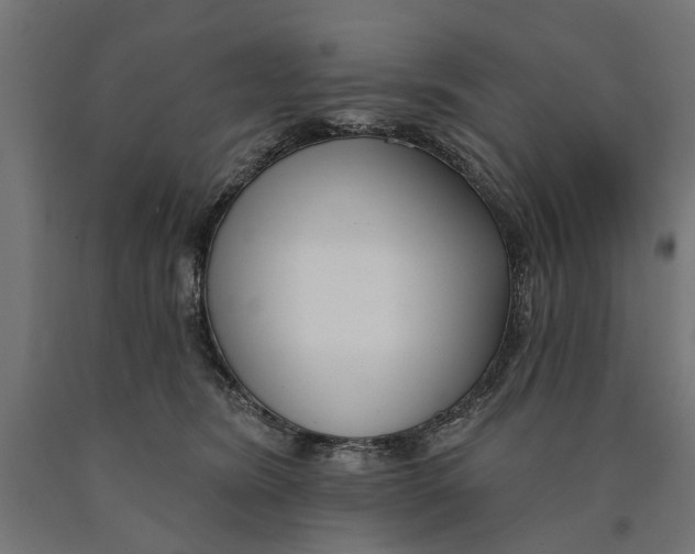 X0000090420420200708031110