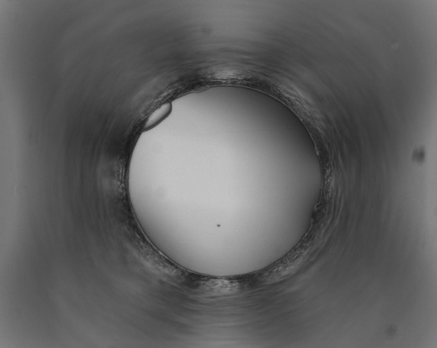 X0000090420421200708031110